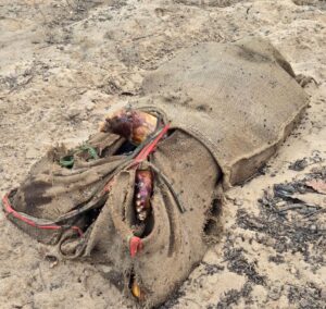 Singrauli News: सुपारी देकर बहन ने अपने भाई भैयालाल सिंह की कराई थी गला घोट कर हत्या