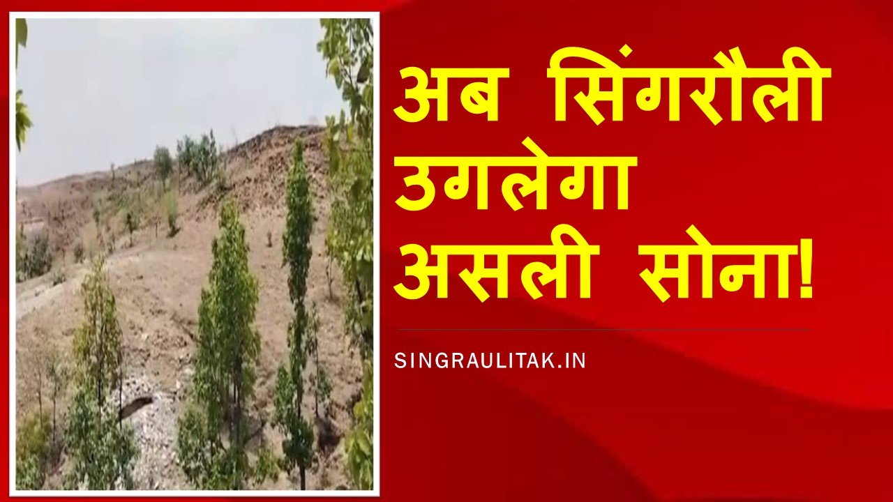 Singrauli Coal के साथ साथ उगलेगा Gold चितरंगी तहसील के गुरहर के पहाड़ का जल्द होगा खनन का कार्य प्रारंभ