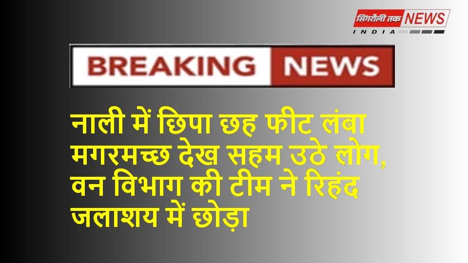 Sonbhadra News : एनटीपीसी परिसर के नाली में छिपा मिला 6 फीट लंबा मगरमच्छ