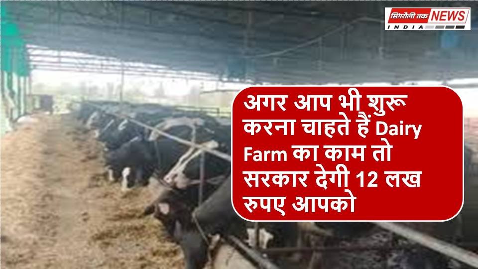 अगर आप भी शुरू करना चाहते हैं Dairy Farm का काम तो सरकार देगी 12 लख रुपए आपको