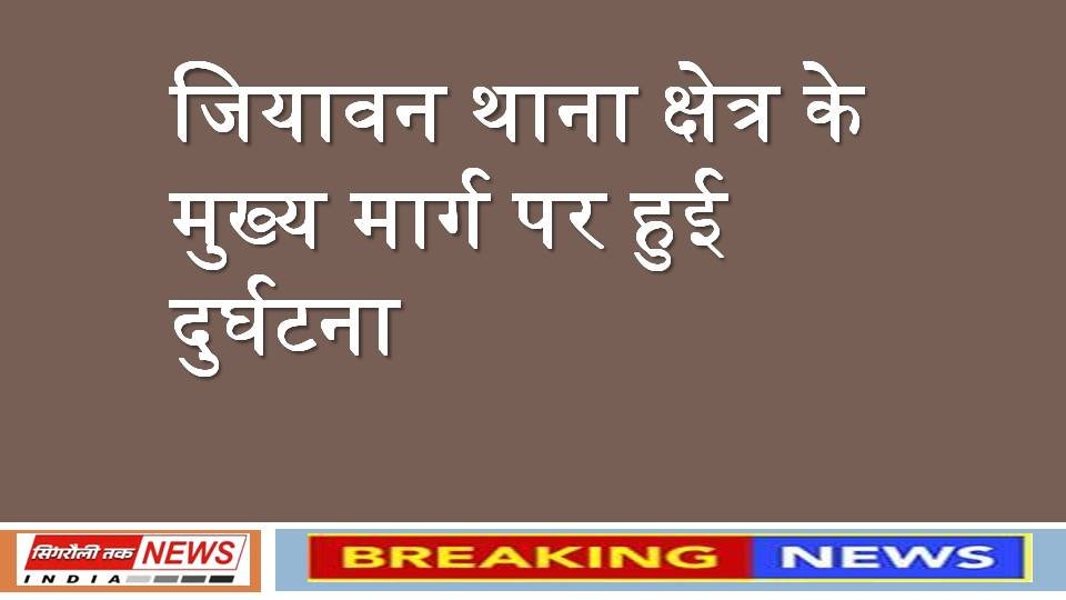 Singrauli Samachar : ट्रक की टक्कर से पति की मौत