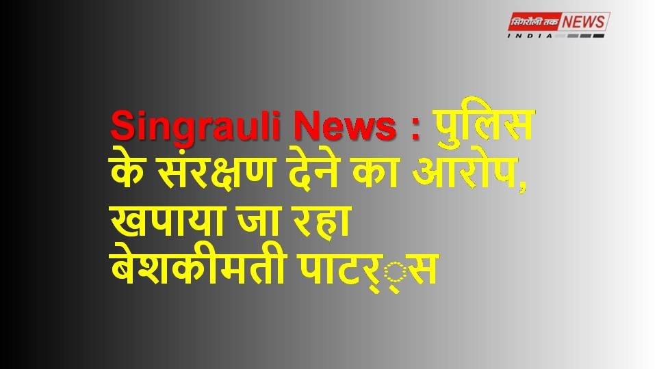 Singrauli Samachar : सुन्द्रिका गिरिजा पाण्डेय को मिला सरपंच पद के निर्वाचन का प्रमाण पत्र