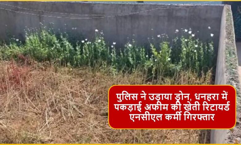 Singrauli News : बाउन्ड्री के अन्दर अफीम के पेड़ के साथ प्रौढ़ गिरफ्तार