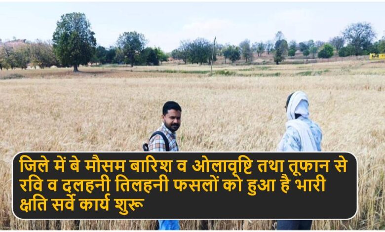 Singrauli जिले में ओलावृष्टि से 5 से 15 प्रतिशत फसलों को हुआ है नुकसान