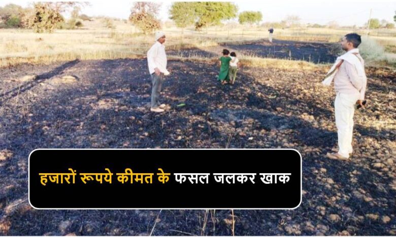 Singrauli News : कमरौहा गांव के गेहूॅ फसल खेत में लगी भीषण आग