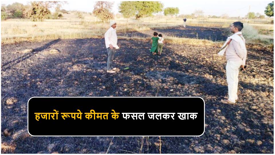 Singrauli News : कमरौहा गांव के गेहूॅ फसल खेत में लगी भीषण आग