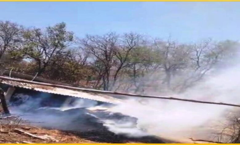 Singrauli News : खलिहान में रखी फसल में भड़की आग,फसल जलकर हुआ खाक