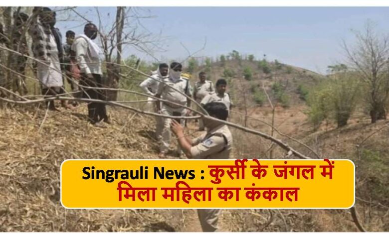 Singrauli News : कुर्सी के जंगल में मिला महिला का कंकाल