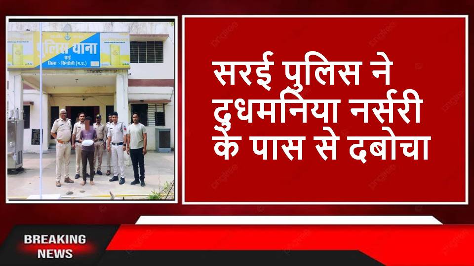 Singrauli News : युवक के कब्जे से डेढ़ किलो गांजा जप्त