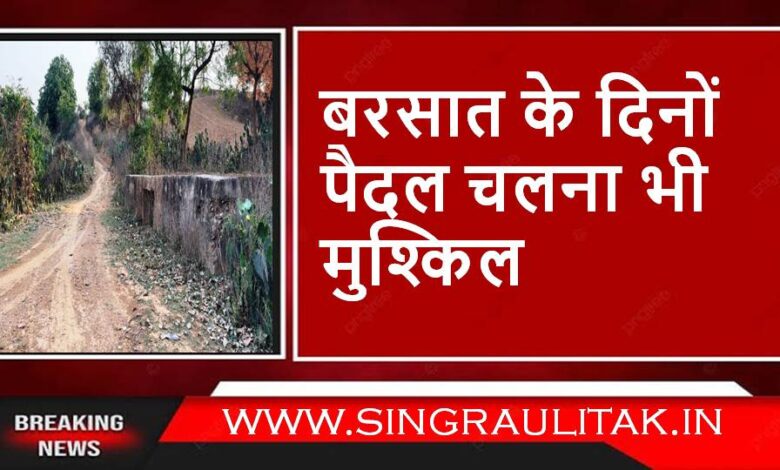 Singrauli News : केरवा गांव में नही बन पाई अब तक चलने लायक सड़क