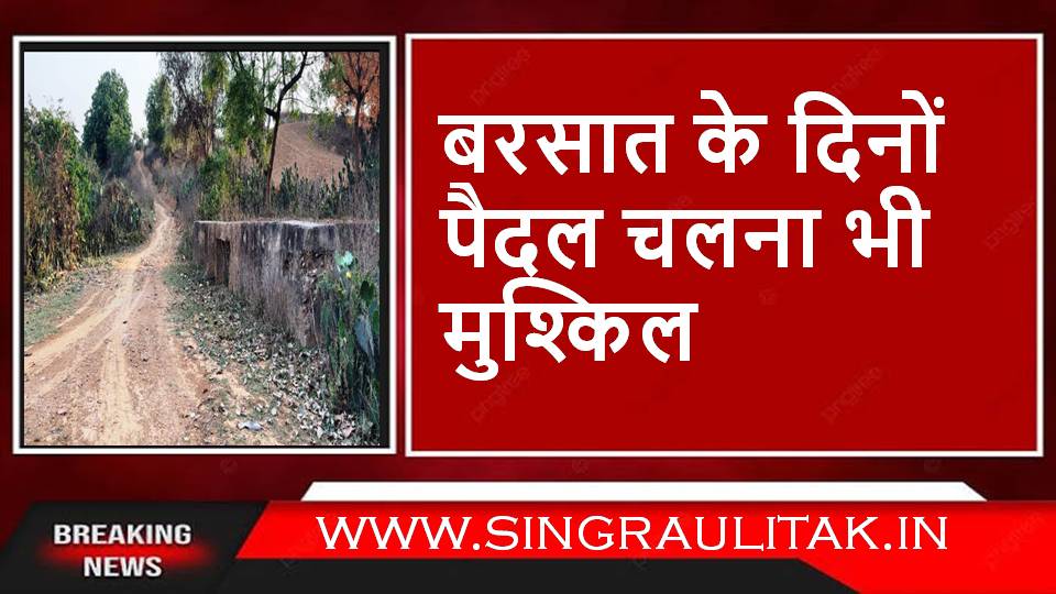 Singrauli News : केरवा गांव में नही बन पाई अब तक चलने लायक सड़क