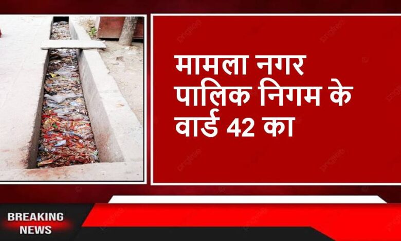 Singrauli News : बिलौंजी मुख्य मार्ग कलेक्ट्रेट के सामने की नालियां कचरे में पटी