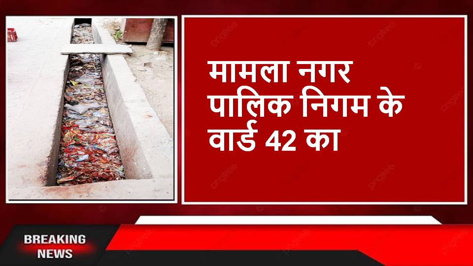 Singrauli News : बिलौंजी मुख्य मार्ग कलेक्ट्रेट के सामने की नालियां कचरे में पटी