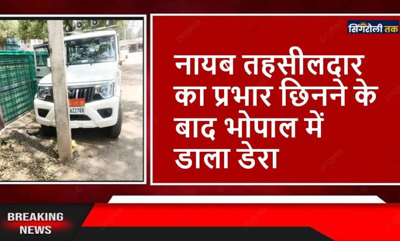 Singrauli News : उज्जैनी से सहायक भू-अधीक्षक का नही हो रहा मोहभंग