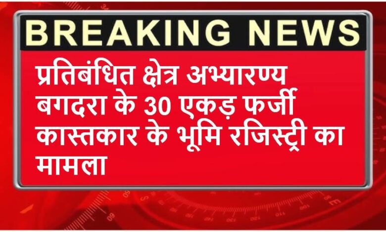 Singrauli News : पंचम अपर सत्र न्यायालय से निलंबित फ्रॉड पटवारी की जमानत खारिज