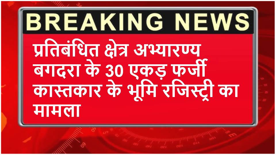 Singrauli News : पंचम अपर सत्र न्यायालय से निलंबित फ्रॉड पटवारी की जमानत खारिज