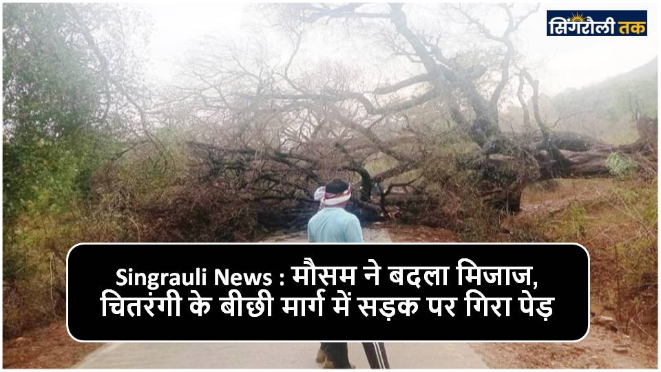 Singrauli News : ऊर्जाधानी में तूफान एवं बारिश का असर बैढ़न की बिजली आपूर्ति बाधित