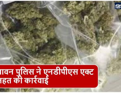 Singrauli News : गांजा बिक्री करते आरोपी को पकड़ा