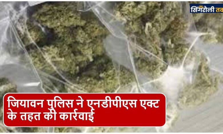 Singrauli News : गांजा बिक्री करते आरोपी को पकड़ा