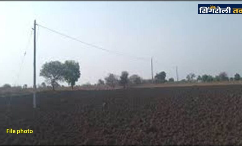 Singrauli News : घर तक अभी नहीं लगा बिजली का खम्भा