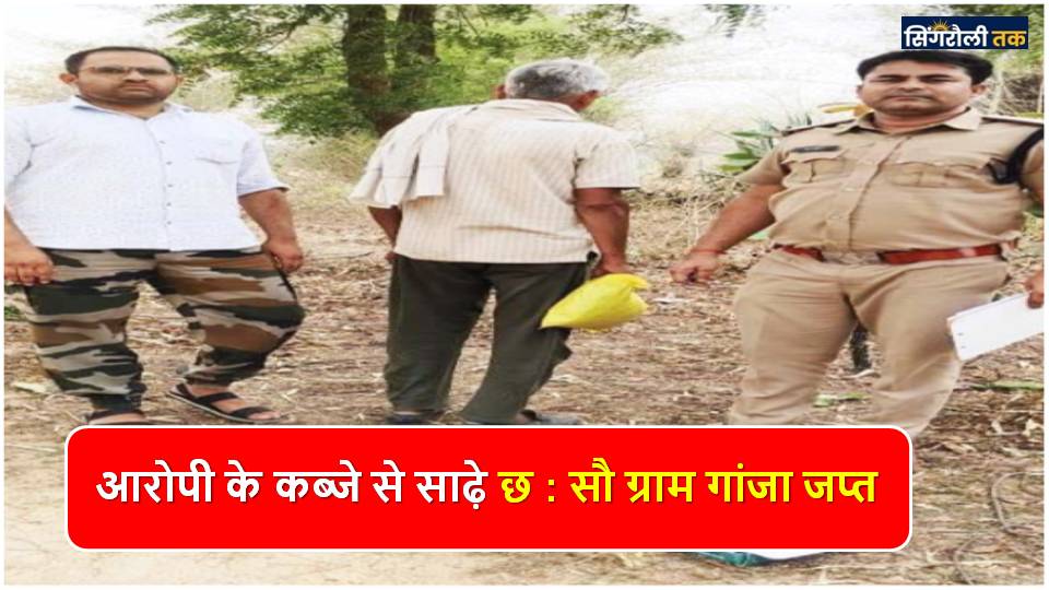 Singrauli News: मादक पदार्थ गांजा के साथ एक आरोपी गिरफ्तार