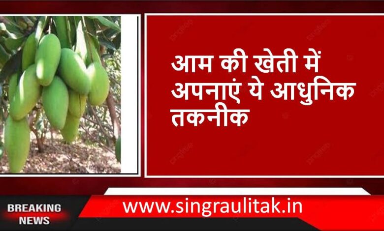 आम की खेती में अपनाएं ये आधुनिक तकनीक