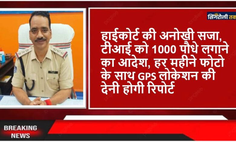 हाईकोर्ट की अनोखी सजा, टीआई को 1000 पौधे लगाने का आदेश, हर महीने फोटो के साथ GPS लोकेशन की देनी होगी रिपोर्ट