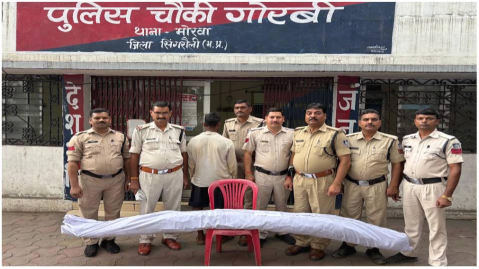 Singrauli News: आंगन में लगे गांजे के पेड़ गोरबी पुलिस ने पकड़ा