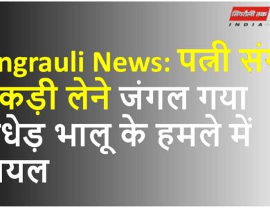 Singrauli News: पत्नी संग लकड़ी लेने जंगल गया अधेड़ भालू के हमले में घायल