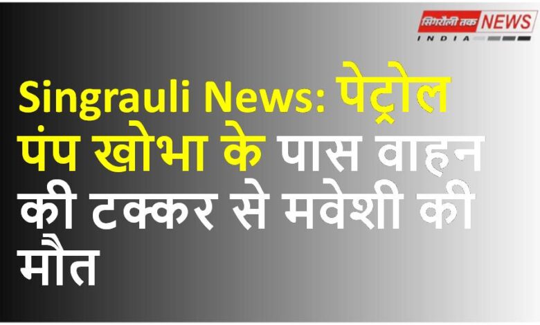 Singrauli News: पेट्रोल पंप खोभा के पास वाहन की टक्कर से मवेशी की मौत