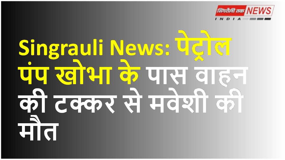 Singrauli News: पेट्रोल पंप खोभा के पास वाहन की टक्कर से मवेशी की मौत