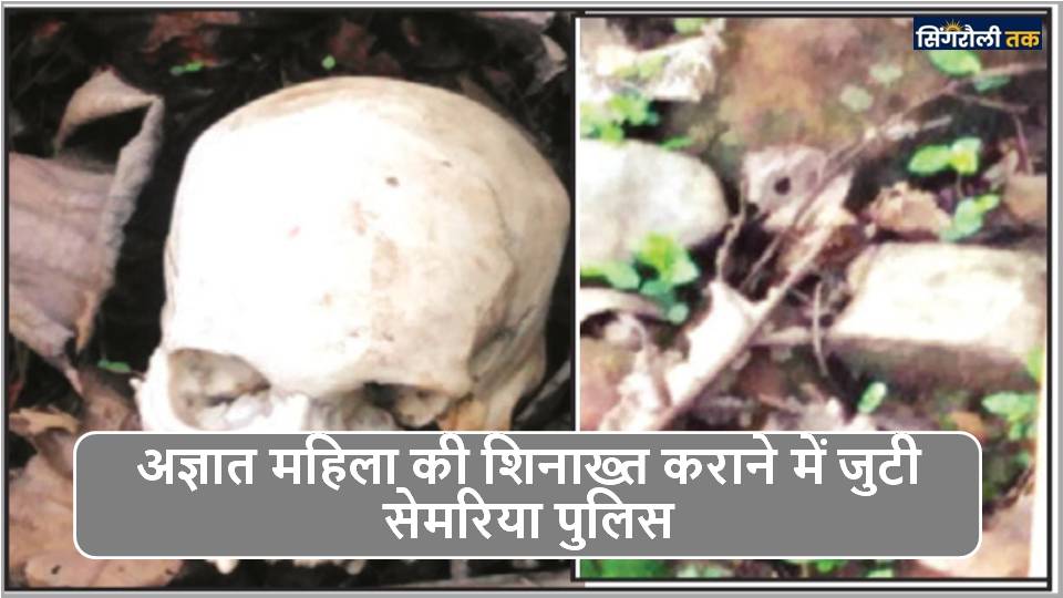 MP News : करौंदिया के जंगल में मिली महिला की खोपड़ी और कंकाल
