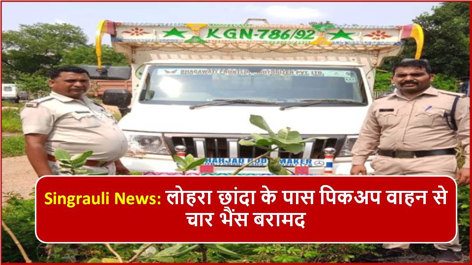 Singrauli News: लोहरा छांदा के पास पिकअप वाहन से चार भैंस बरामद
