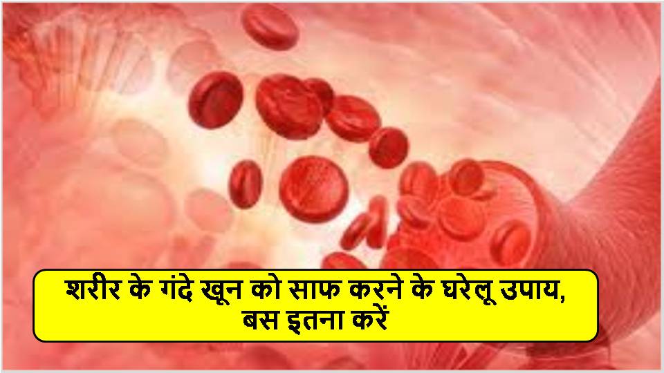 शरीर के गंदे खून को साफ करने के घरेलू उपाय, बस इतना करें