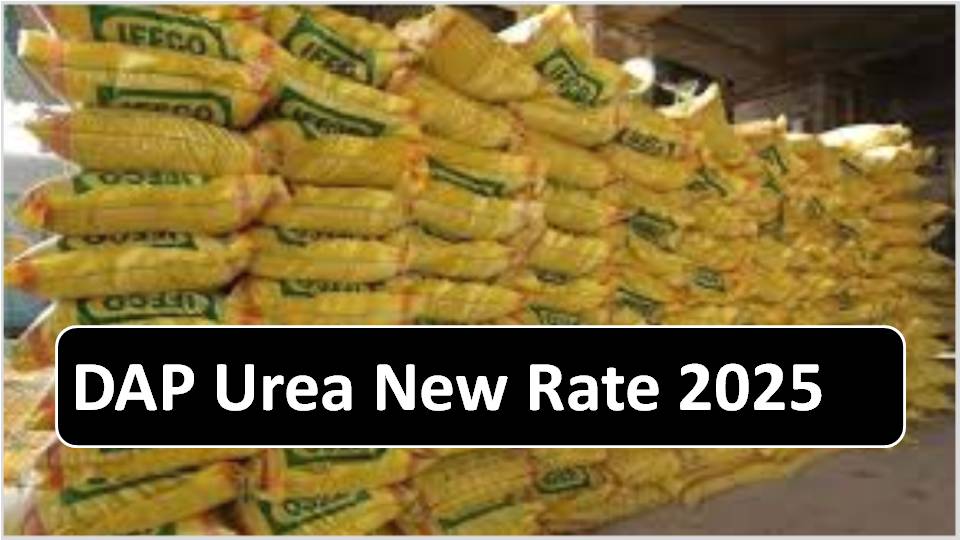 DAP Urea New Rate 2025