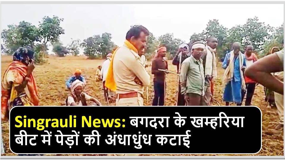 Singrauli News: Indiscriminate cutting of trees in Khamharia beat of Bagdara