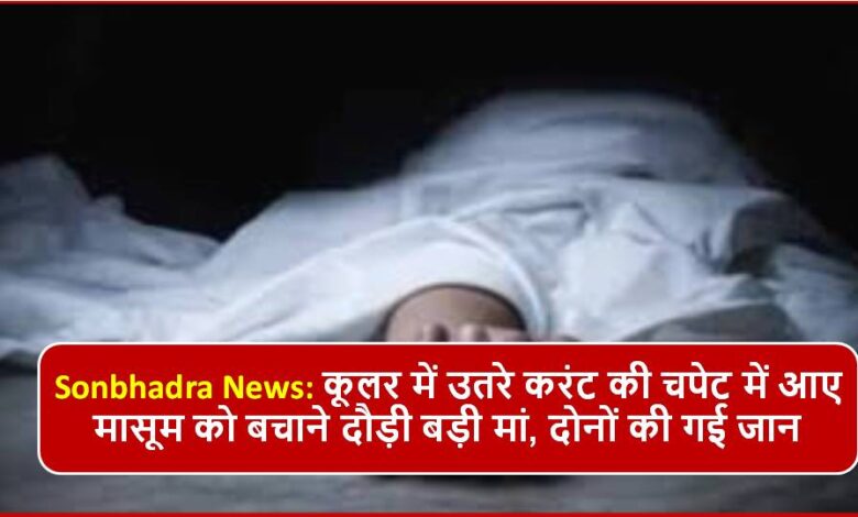 Sonbhadra News: कूलर में उतरे करंट की चपेट में आए मासूम को बचाने दौड़ी बड़ी मां, दोनों की गई जान