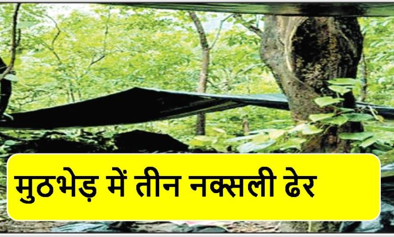 मुठभेड़ में तीन नक्सली ढेर