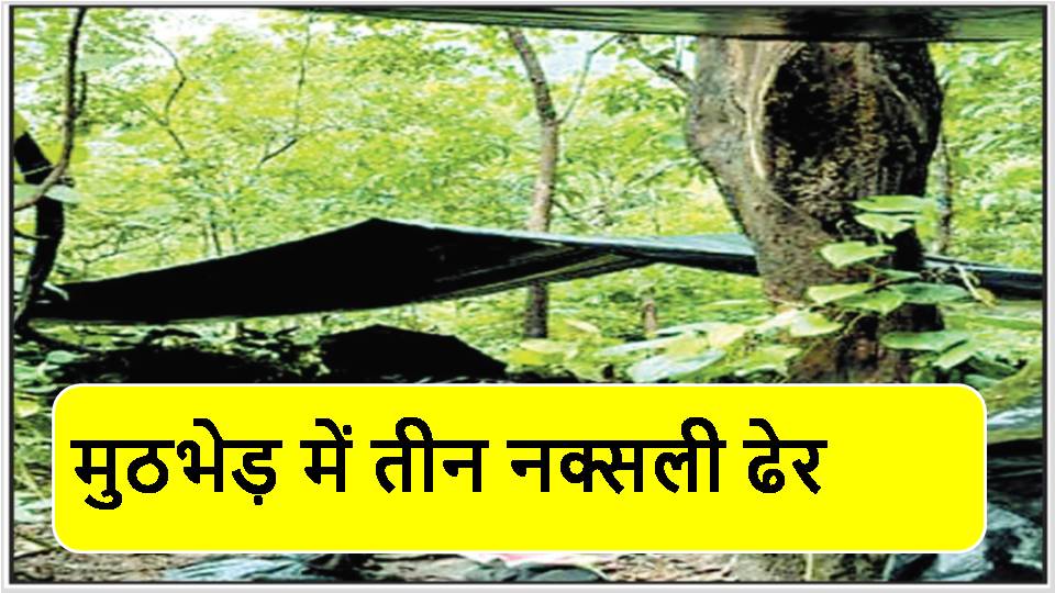 मुठभेड़ में तीन नक्सली ढेर