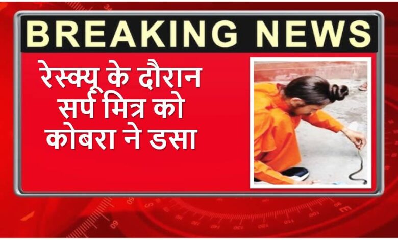 Snake friend bitten by cobra during rescue