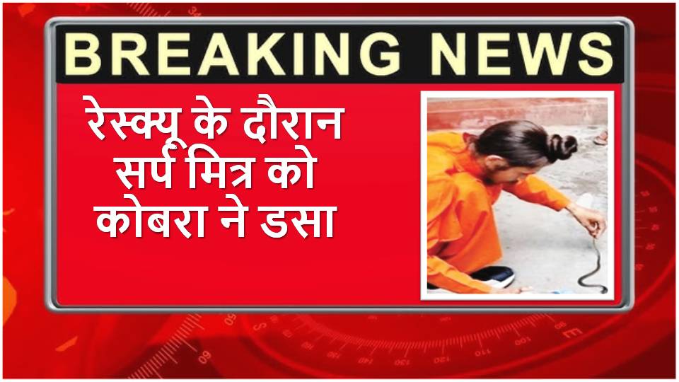 Snake friend bitten by cobra during rescue